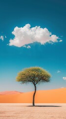 Solitary tree in a desert landscape against a vibrant blue sky and fluffy white clouds