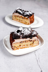 Delicious homemade layered chocolate cake with chocolate chips.