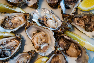 Oysters, raw and a lemon drop. What else?