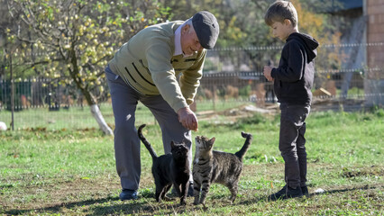 Elderly man and little boy feeding two cats in the countryside yard