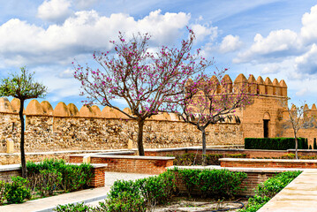 Fototapeta na wymiar Views of the beautiful Monumental Complex of La Alcazaba in Almeria, Spain