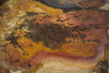 Royal National Park close up of colors of rocks