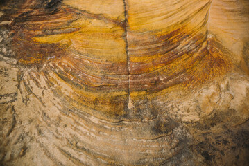 Close up of colors of rocks Australia cliff sandstone Royal National Park