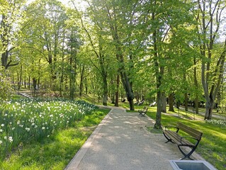 path in the park, sunny day, walk