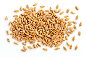 Wheat Grains Isolated, Barley Pile, Dry Cereal Seeds for Bread, Spelta Healthy Organic Food, Wheat Grains