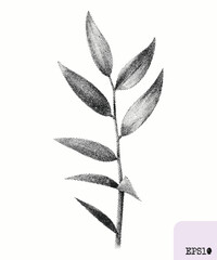 Twig with leaves. Spring plant. Graphic drawing, abstract pointillism - 782310846
