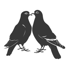 Obraz premium Silhouette dove bird animal couple pigeon black color only