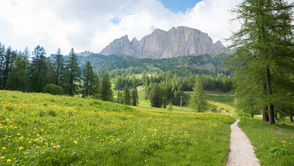 walkway around Colfosco tourist resort, Dolomite Alps, near Grodner Joch - 782313835