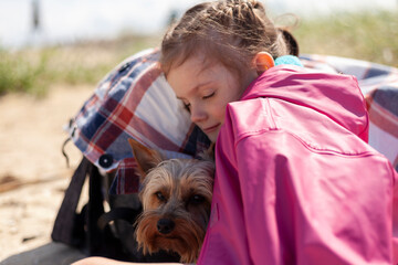 A little blonde girl sleeps on a backpack with her dog on the beach. Yorkshire Terrier in the arms...
