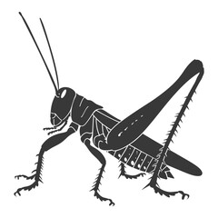 Silhouette grasshopper Insect animal black color only - obrazy, fototapety, plakaty