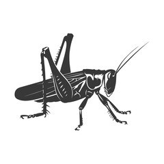 Silhouette grasshopper Insect animal black color only