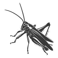 Silhouette grasshopper Insect animal black color only