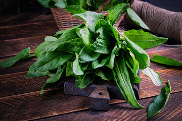 Sorrel. Bunch of fresh green organic sorrel leaf on wooden table closeup. - 782318080