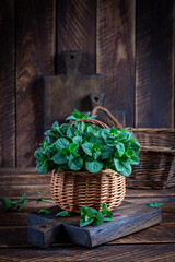 Mint. Bunch of fresh green organic mint leaf on wooden table closeup. Peppermint in small basket on natural wooden background - 782318289