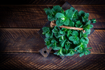 Mint. Bunch of fresh green organic mint leaf on wooden table closeup. Peppermint in small basket on natural wooden background - 782318450