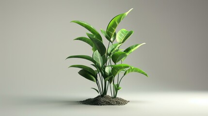 A beautiful 3D rendering of a lush green plant with vibrant leaves, set against a soft grey background.