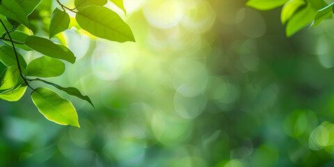 Fototapeta na wymiar Green leaves background nature abstract for spring and summer season wallpaper