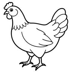 illustration of a chicken