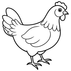 hen background vector illustration