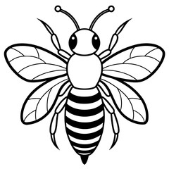 illustration of a bee