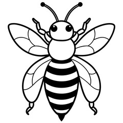 illustration of a bee