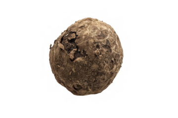 Degraded Truffle Ball on White Background
