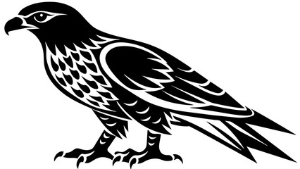 Red tailed hawk vector illustration