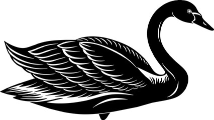 Trumpeter swan vector art illustration