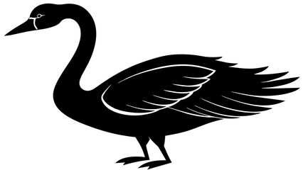 Trumpeter swan vector art illustration