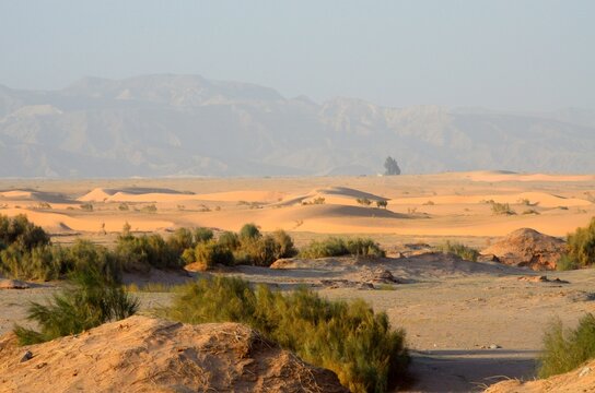 Desierto de Wadi Araba en Jordania, junto a la frontera con Palestina