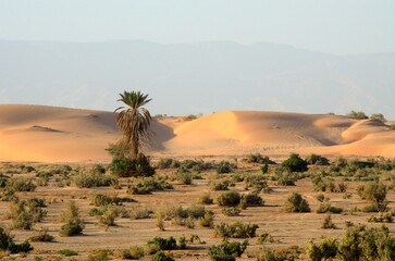 Dunas en el desierto de Wadi Araba en Jordania