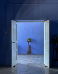 Geöffnete zweiflügelige blaue Türe mit einer blauen Wand dahinter, vor der ein Blumenstock auf einem Ständer steht