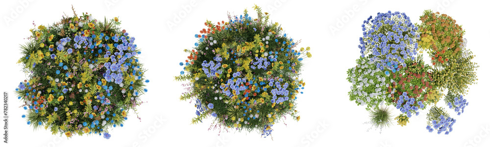 Poster top view evergreen colorful flowers and grass field in nature with isolated on transparent backgroun