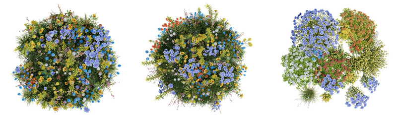 Top view Evergreen colorful flowers and grass field in nature with isolated on transparent background - PNG file, 3D rendering for create and design or etc
