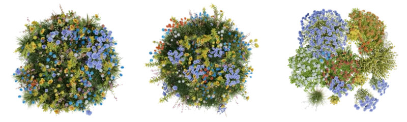 Foto op Aluminium Top view Evergreen colorful flowers and grass field in nature with isolated on transparent background - PNG file, 3D rendering for create and design or etc © EcoSpace