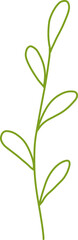Botanical Line Vector