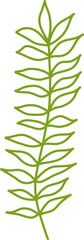 Botanical Line Vector