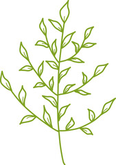 Botanical Line Vector