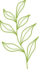 Botanical Line Vector