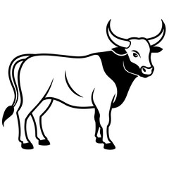 black and white bull