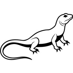 lizard on white