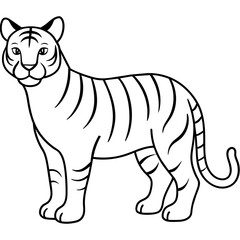 cartoon tiger illustration