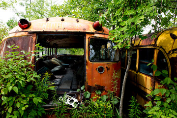 rusty old yellow school bus in an auto wrecker scrap yard