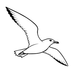 black headed gull isolated