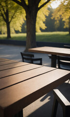 Fototapeta na wymiar Empty table on a park background for product presentation
