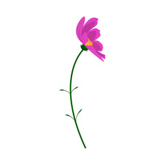 Meadow Flower - 782371068