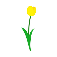 Spring Tulip Element - 782371800