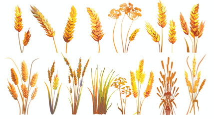 Bunch of wheat icon. Cartoon illustration of bunch
