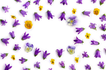 Frame of violet-blue bell flowers ( bellflower), blue and yellow flowers viola tricolor ( pansy ) on a white background with space for text. Top view, flat lay