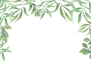 Green tropical leaves. Oleander branches. Horizontal frame with copy space for text. Template with olive leaf. Watercolor illustration isolated on white. Greenery design for wedding party invitation